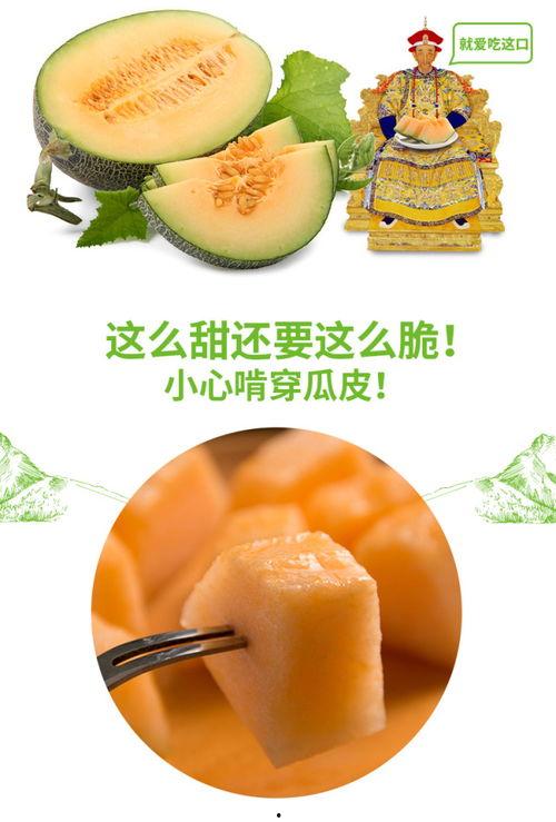 今日吃瓜热门推荐最新,揭秘娱乐圈最新八卦，带你领略明星幕后故事