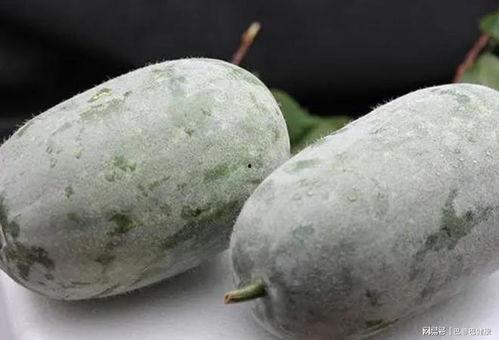 一线吃瓜网,揭秘娱乐圈最新热点，带你领略幕后真相