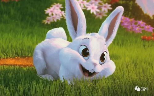 娱乐吃瓜兔子视频下载,揭秘热门视频下载攻略